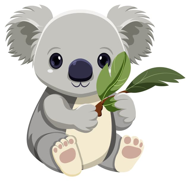 Koala Forest